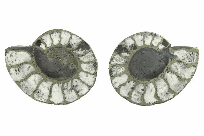 Pyritized Cut Ammonite Fossil Pair - Morocco #276673